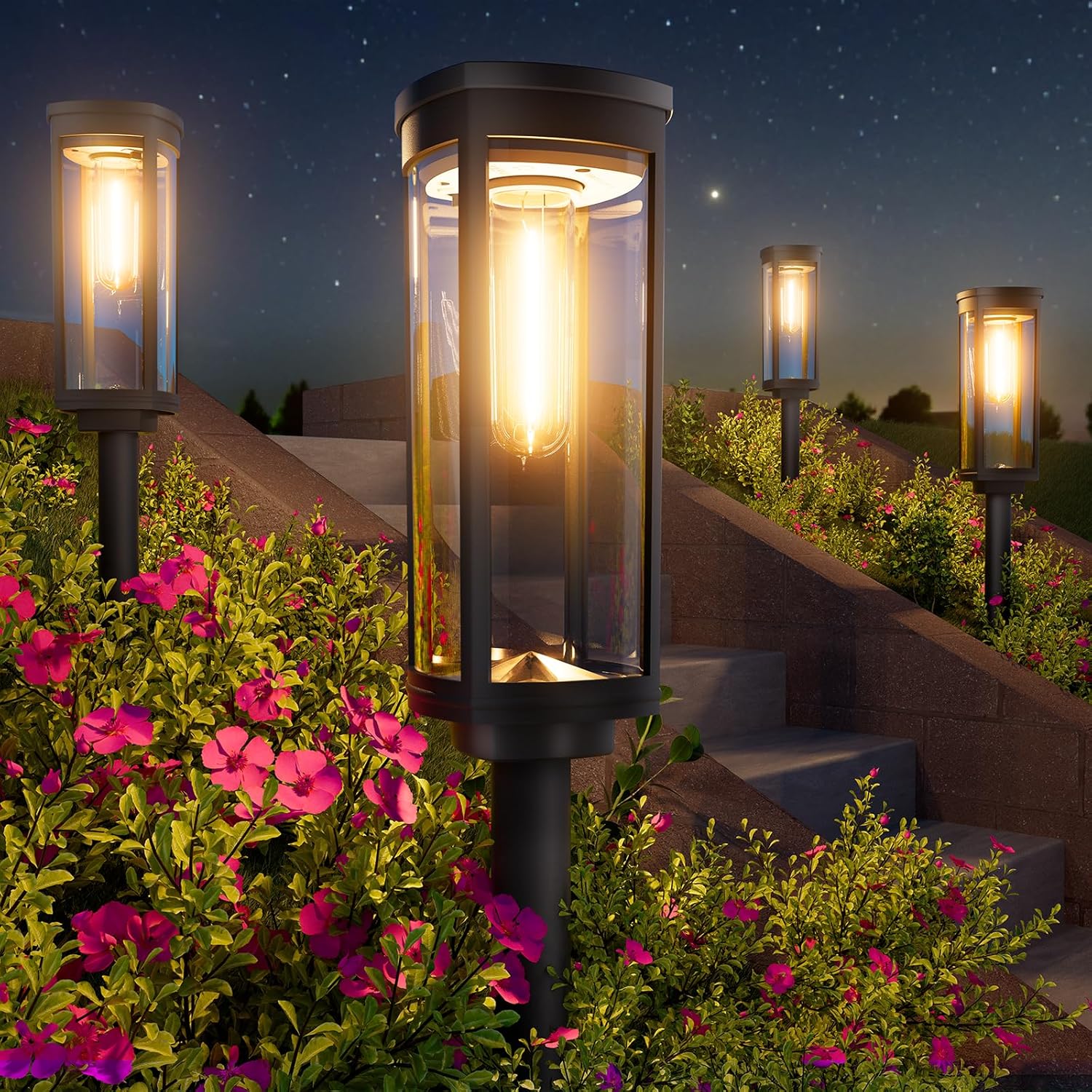 Home & Garden